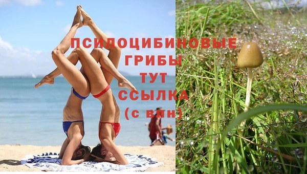 кокс Алексин